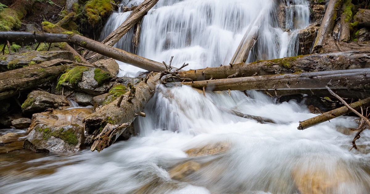 FWP plan would restore cutthroat to Martin Creek near Olney Whitefish Pilot